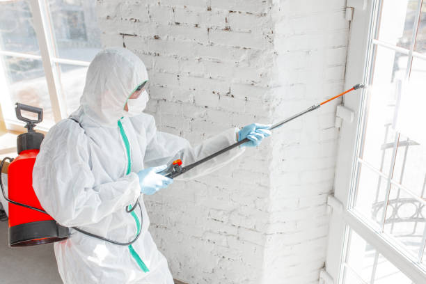 Mold Remediation for Rental Properties in Hagerstown, IN